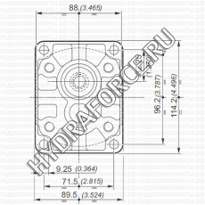 2SPA (2SP-A)  шестерёнчатый насос второй группы (4,0 см3 - 31,5 см3), фланец Ø = 36,5 мм, 96x72 мм (Galtech, Италия)